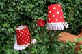 Klemkapje-Polka